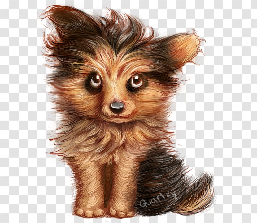 Yorkshire Terrier Russkiy Toy Puppy Companion Dog Breed - Fur Transparent PNG