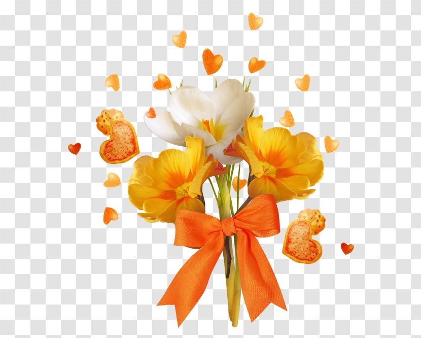 Clip Art - Flowering Plant - Orange Transparent PNG