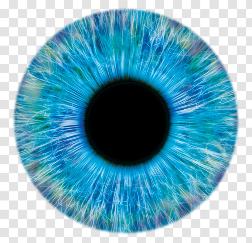 Eye Iris Pupillometry - Frame - Pupil Transparent PNG