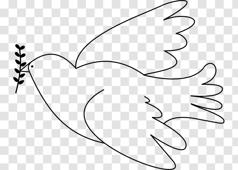 Rock Dove Doves As Symbols Drawing Peace Columbidae - Cartoon - Decoration Upscale Transparent PNG