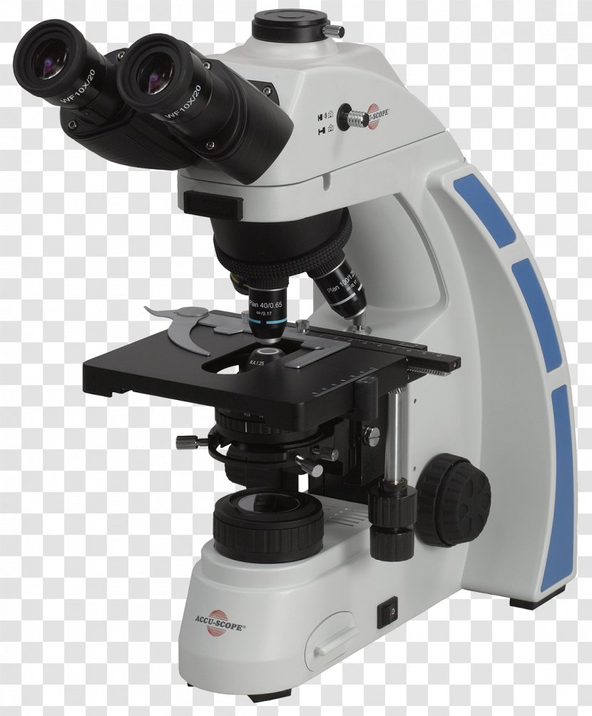 Optical Microscope David Blais Services Digital Optics - Fluorescence Transparent PNG