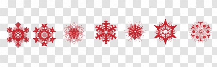 Christmas Snowflake Schema Icon - Petal - Snow Transparent PNG