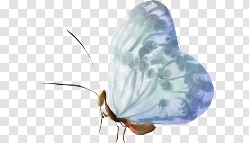 Butterfly Moth Insect Wing - Fairy Tale - White Wings Transparent PNG