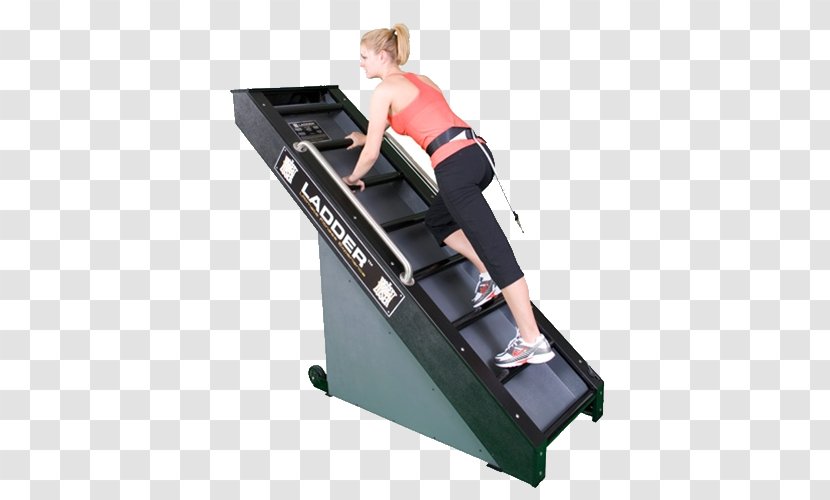 Exercise Equipment Machine Fitness Centre Suspension Training - Climb The Ladder Transparent PNG