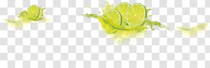 Lemonade Fizzy Drinks Juice Sugar - Leaf Transparent PNG