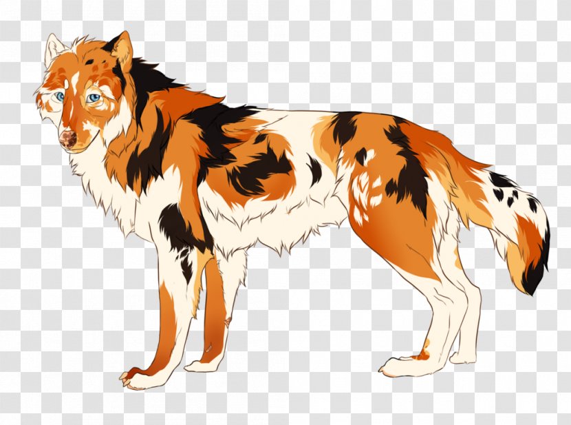 Dog Breed Dhole Maned Wolf Coywolf - Gray Transparent PNG