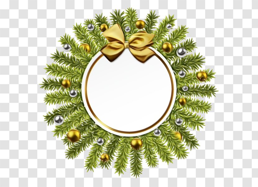 Christmas And New Year Background - Oregon Pine - Ornament Transparent PNG