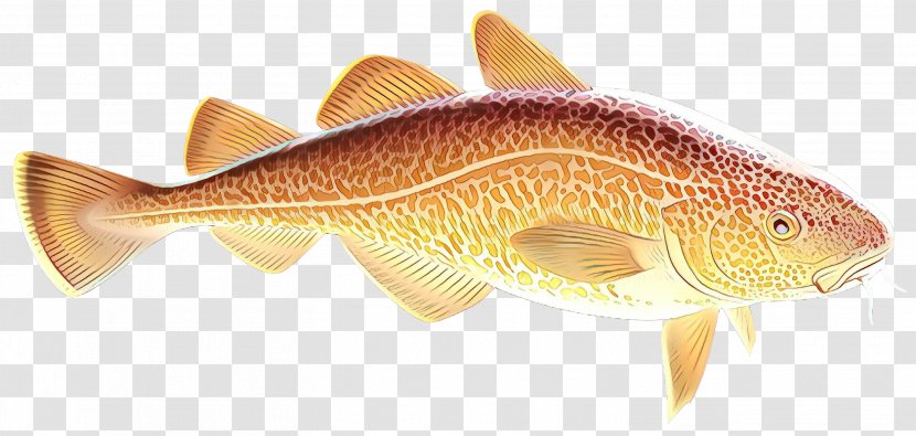 Northern Red Snapper Fish Products Marine Biology Fauna - Action Toy Figures Transparent PNG