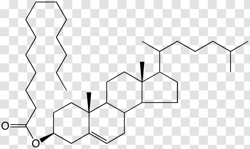Dehydroepiandrosterone Sulfate Adrenal Cortex Steroid Hormone - Area - Drawing Transparent PNG
