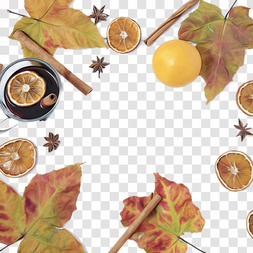 Leaf Superfood Fruit Science Plants Transparent PNG