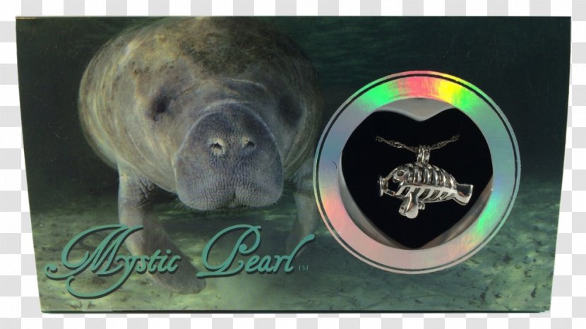 Hewlett-Packard Sea Cows Clam Pig AgfaPhoto - Hewlett-packard Transparent PNG