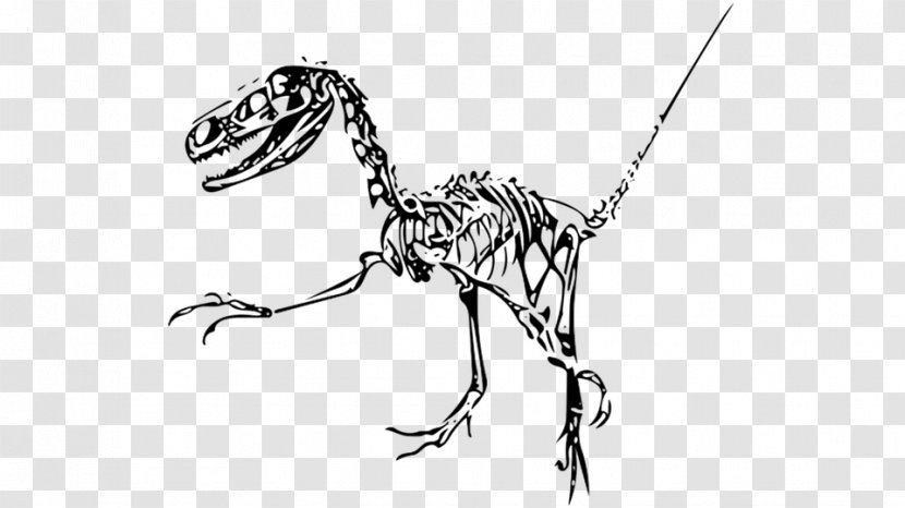 Oviraptor Velociraptor Dinosaur Skipjack Tuna Image - Xenotarsosaurus Outline Transparent PNG