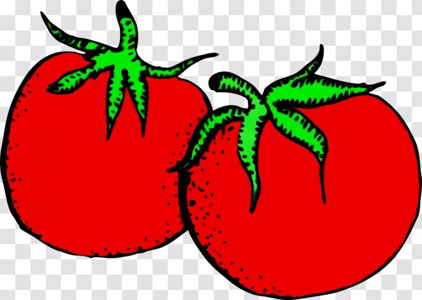 Tomato - Nightshade Family - Fruit Transparent PNG