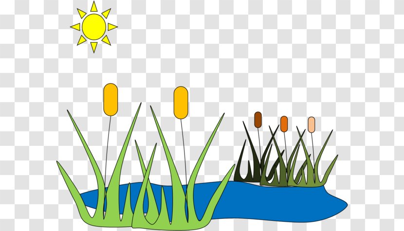 Pond Free Content Royalty-free Clip Art - Grass - Website Clipart Transparent PNG