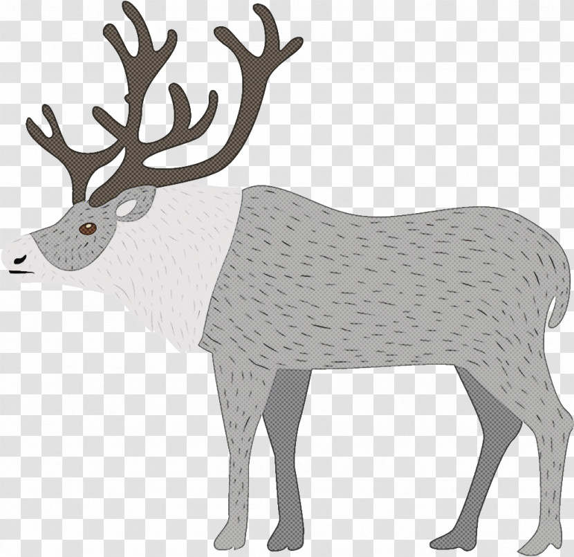 Reindeer Christmas Reindeer Christmas Transparent PNG