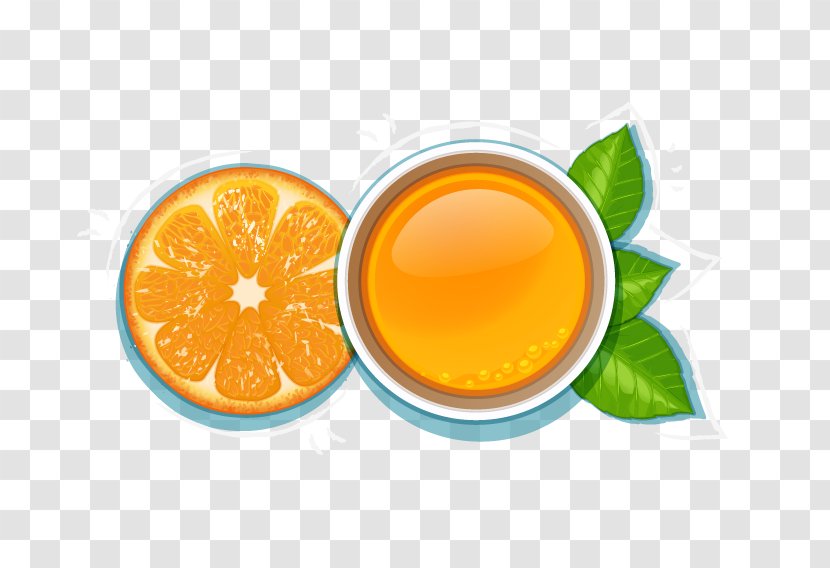 Orange Juice Euclidean Vector - Citrus Xd7 Sinensis Transparent PNG