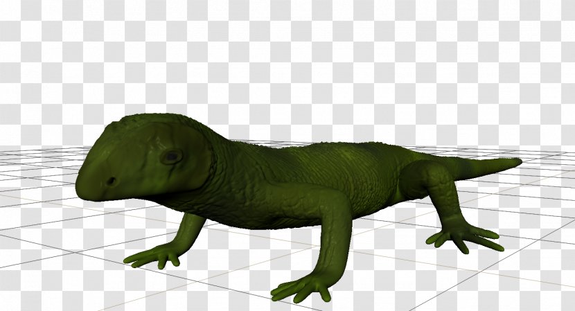 Lizard Reptile Common Iguanas Animal Autodesk Mudbox - Fauna Transparent PNG