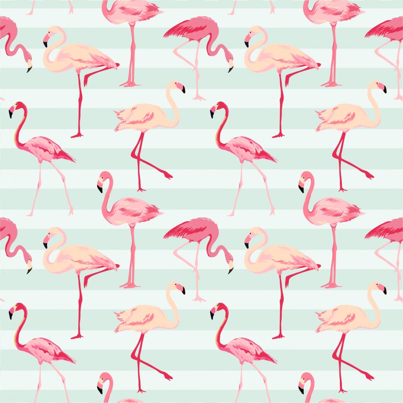 Flamingo Royalty-free Pattern - Stock Photography Transparent PNG