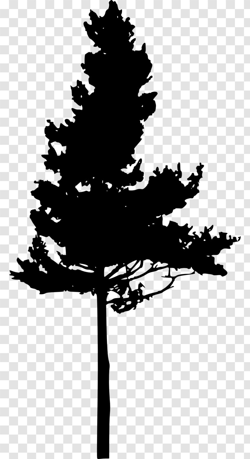 Pine Eastern Hemlock Tree Clip Art - Evergreen - Heart Transparent PNG