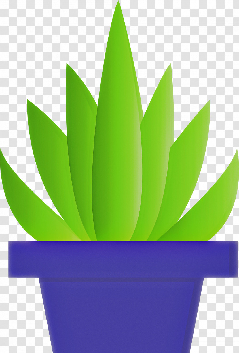 Flowerpot Green Leaf Houseplant Plant Transparent PNG
