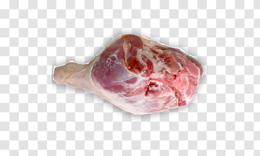 Domestic Pig Ham Capocollo Pork Ribs - Silhouette Transparent PNG