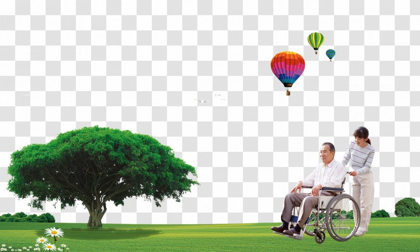 Wheelchairs For The Elderly - Child - Photography Transparent PNG