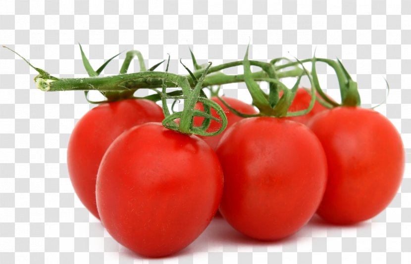 Organic Food Fruit Vegetable Tomato - With Leaves Transparent PNG