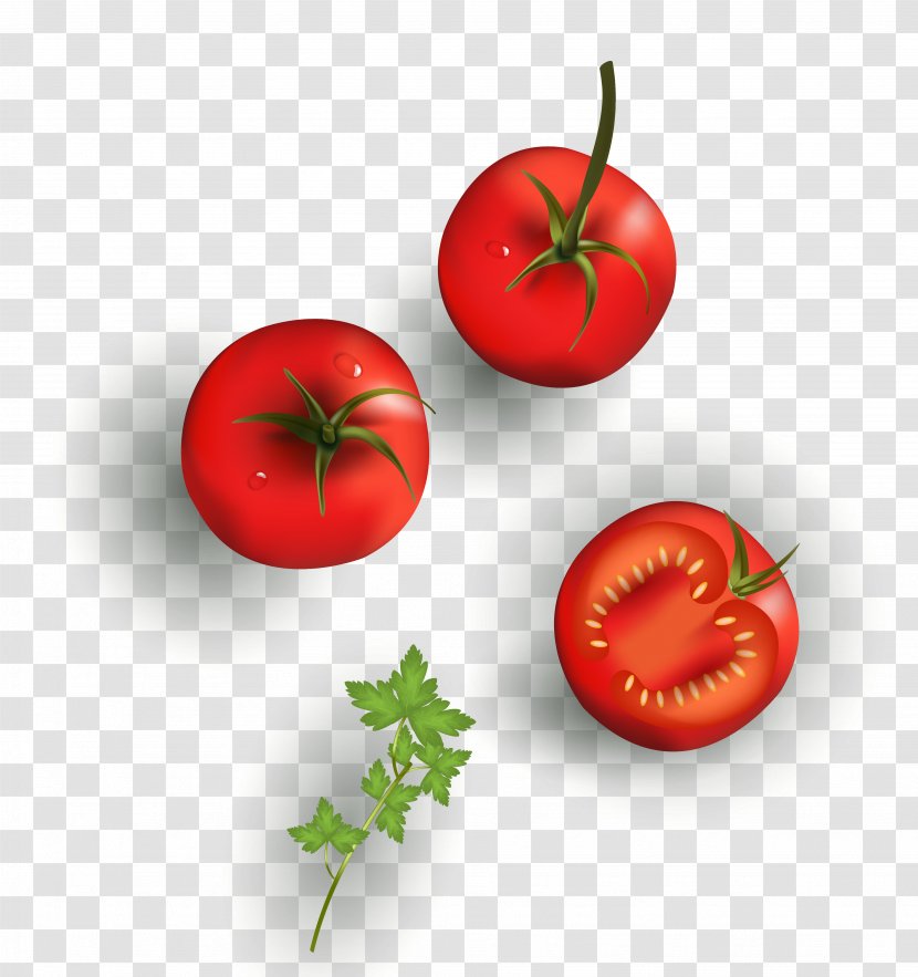 Cherry Tomato Vegetable Drawing Food - Vector Texture Cartoon Material Transparent PNG