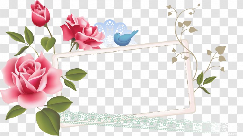 Vector Graphics Rose Flower Euclidean - Branch Transparent PNG