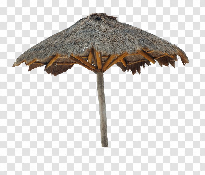Wood /m/083vt - Beach Umbrella Transparent PNG
