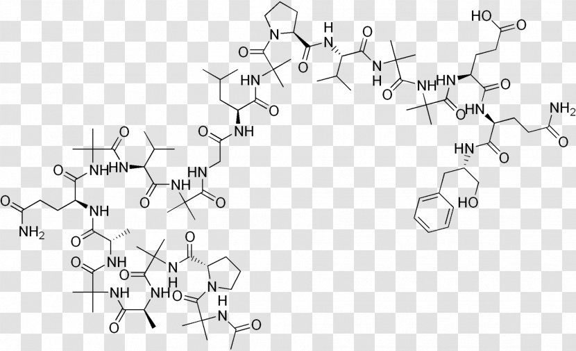Peptide Bond Amino Acid Alamethicin Ghrelin - Ethic Transparent PNG