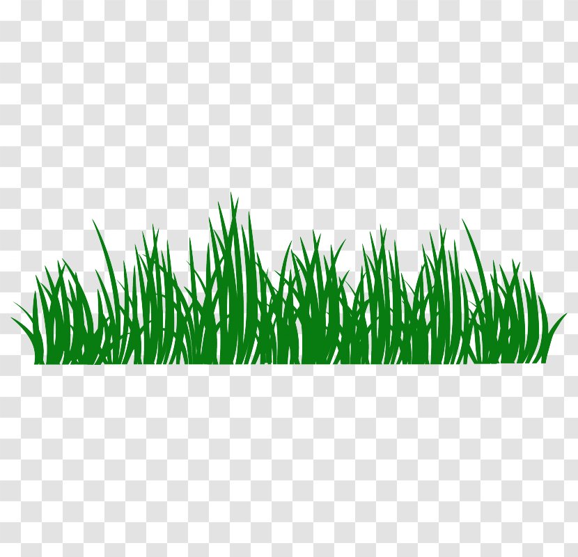 Sticker Grass Wall Decal Lawn Food - Meadow - Herbes Transparent PNG