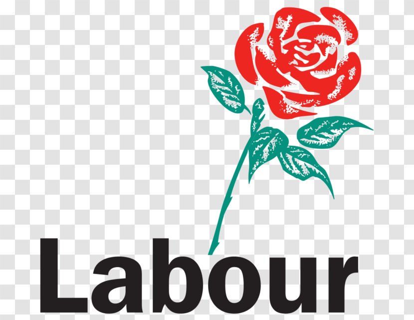 United Kingdom General Election, 2017 Leader Of The Labour Party Political - Flower Transparent PNG