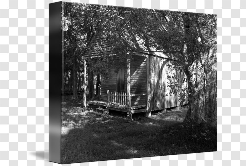 Outhouse Architecture Tree Photography Shed - Log Cabin Transparent PNG