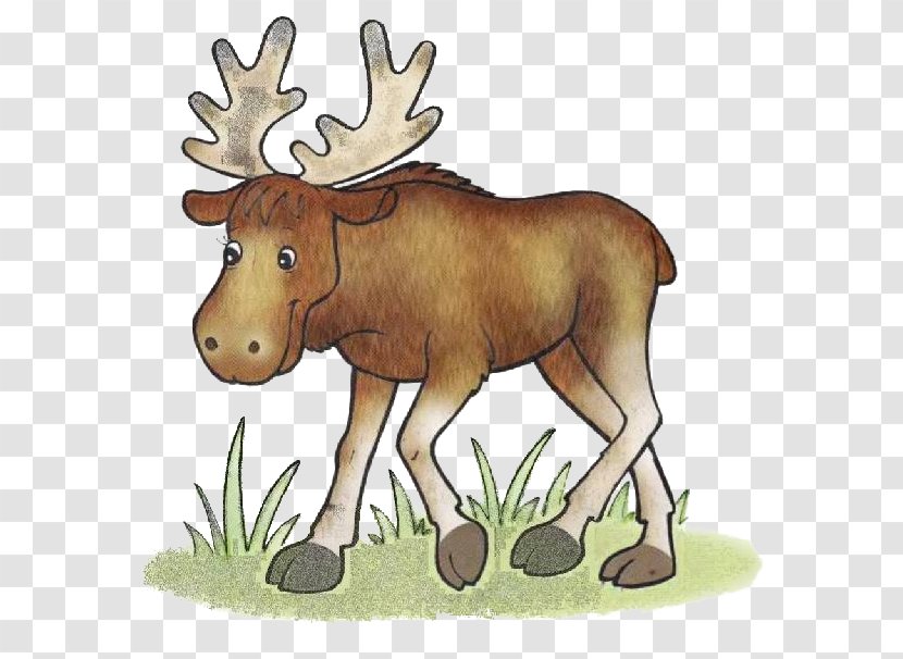 Moose Reindeer Forest Clip Art - Blog Transparent PNG