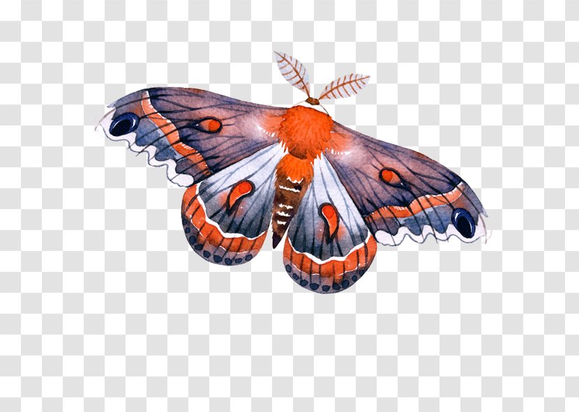 Monarch Butterfly Arrow - Moth Transparent PNG