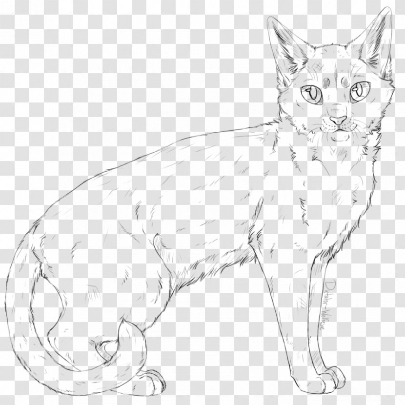 Whiskers Kitten Domestic Short-haired Cat Line Art - Paw Transparent PNG
