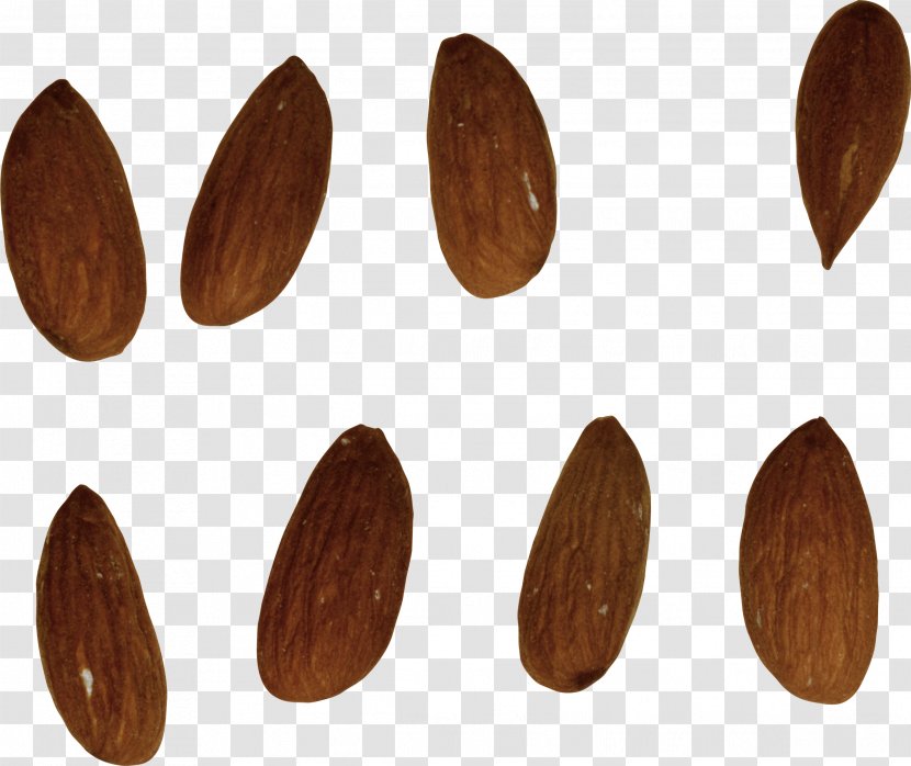 Nuts Almond Hazelnut - Peanut - Blossoms Transparent PNG