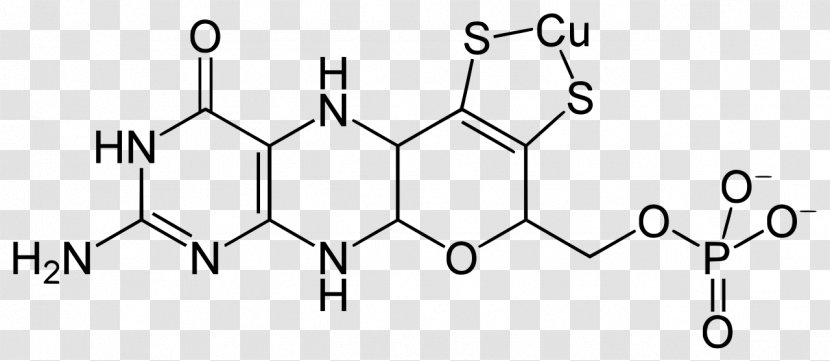 Folinic Acid Folate Chemistry Molecule Allantoin - Watercolor - Bind Transparent PNG