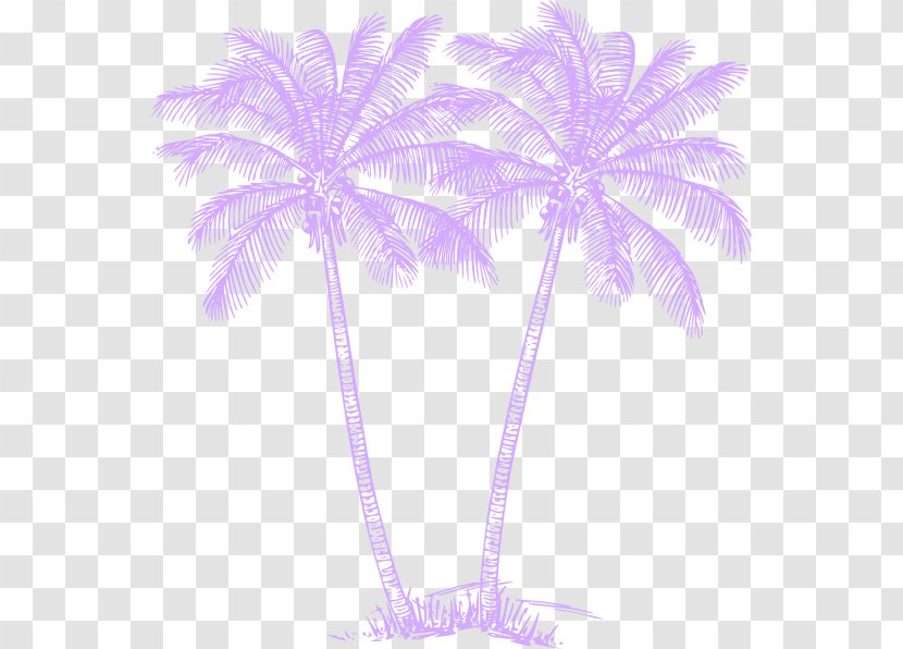 Arecaceae Sabal Palm Art Clip - Plant - Tree Timeline Transparent PNG