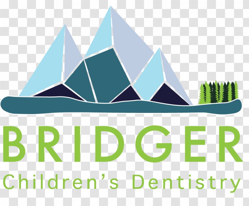 Organization Bridger Children's Dentistry Open Innovation Aphena Pharma Solutions, Inc. - Grass - North Street Dental Transparent PNG