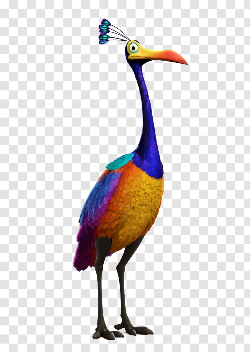 Bird Pixar Up The Walt Disney Company YouTube - Ibis - Carl Ellie Transparent PNG