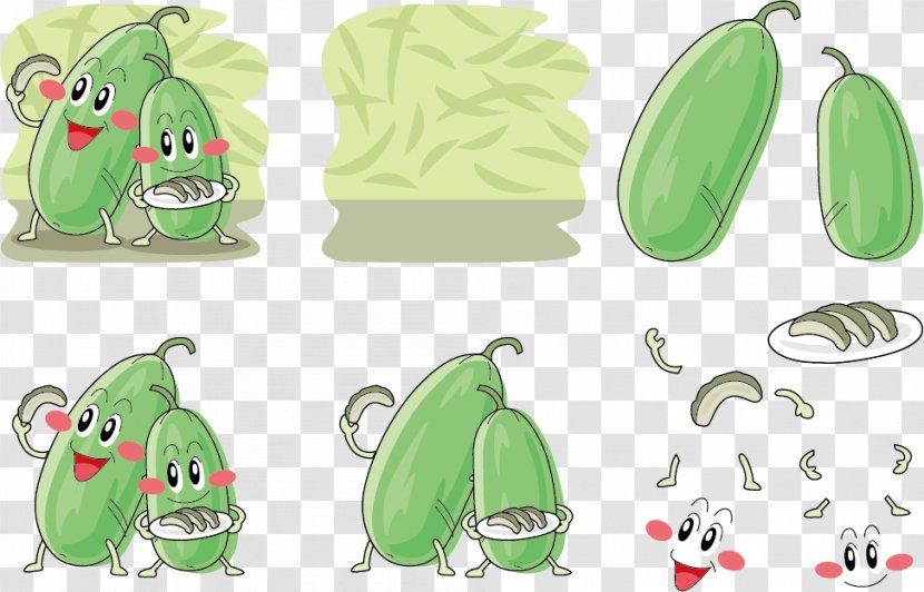 Wax Gourd Vegetable Illustration - Broccoli - Eat Melon Expression Vector Transparent PNG