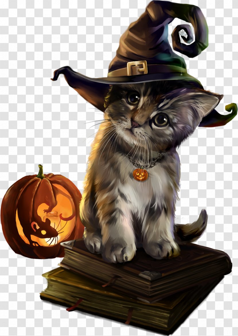 Magic Cat Academy Kitten Art Drawing - Watercolor - Halloween Bar Transparent PNG