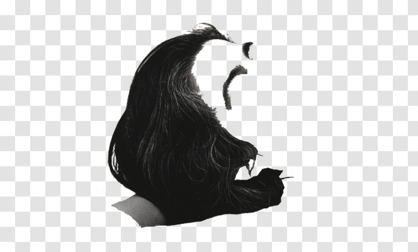 Carnivora Silhouette Black White Fur Transparent PNG