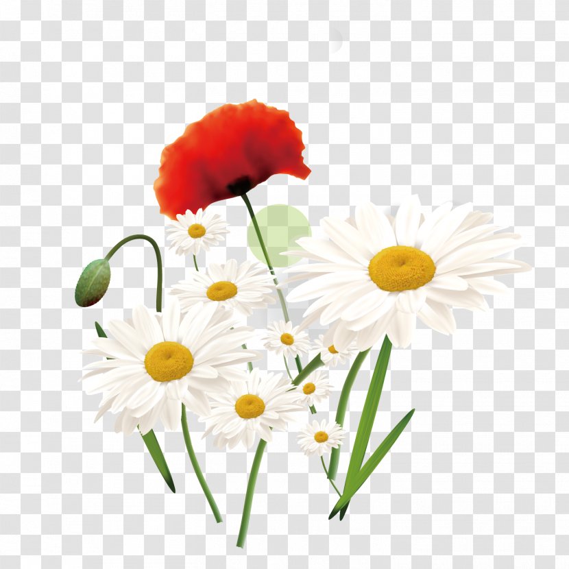 Cartoon Flower Drawing - Floral Design - Vector Hand Painted White Decoration Transparent PNG