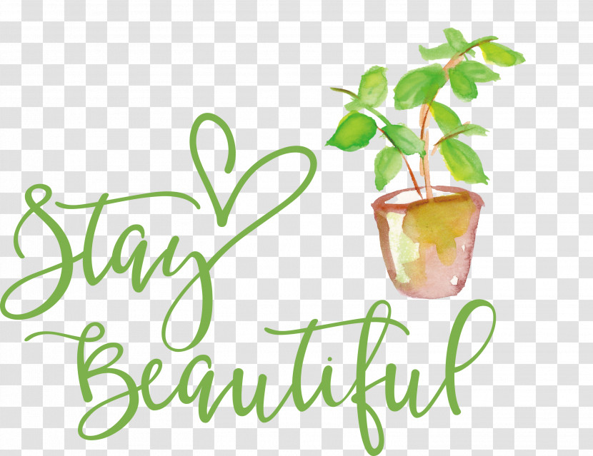 Stay Beautiful Fashion Transparent PNG