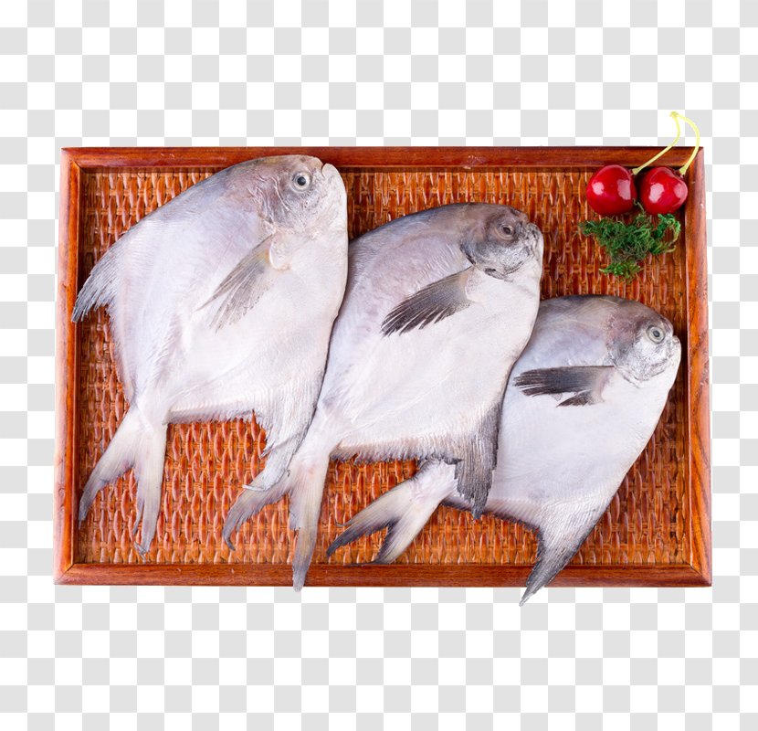Pampus Argenteus Fish Seafood Pomfret - Fishing Industry - Sandu Hong Kong East Sea Transparent PNG