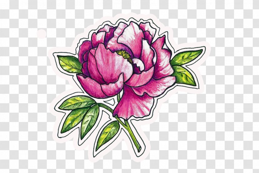 Floral Design Centifolia Roses Cut Flowers Peony Petal - Magenta - Pink Transparent PNG