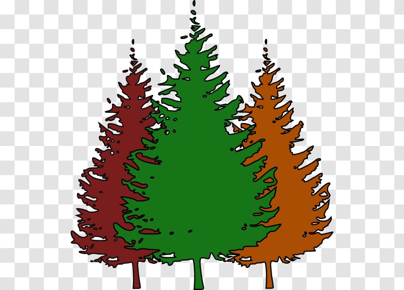 Christmas Tree Spruce Fir Pine Ornament - Decoration Transparent PNG